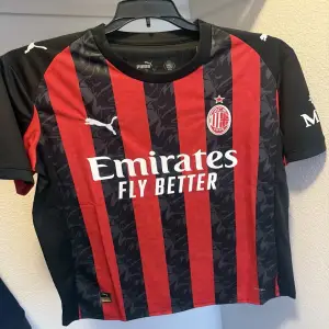 tripodi maurizio