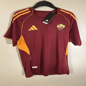 Lombardi Maurizio