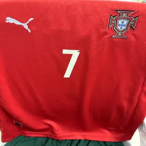 benvenga carlo