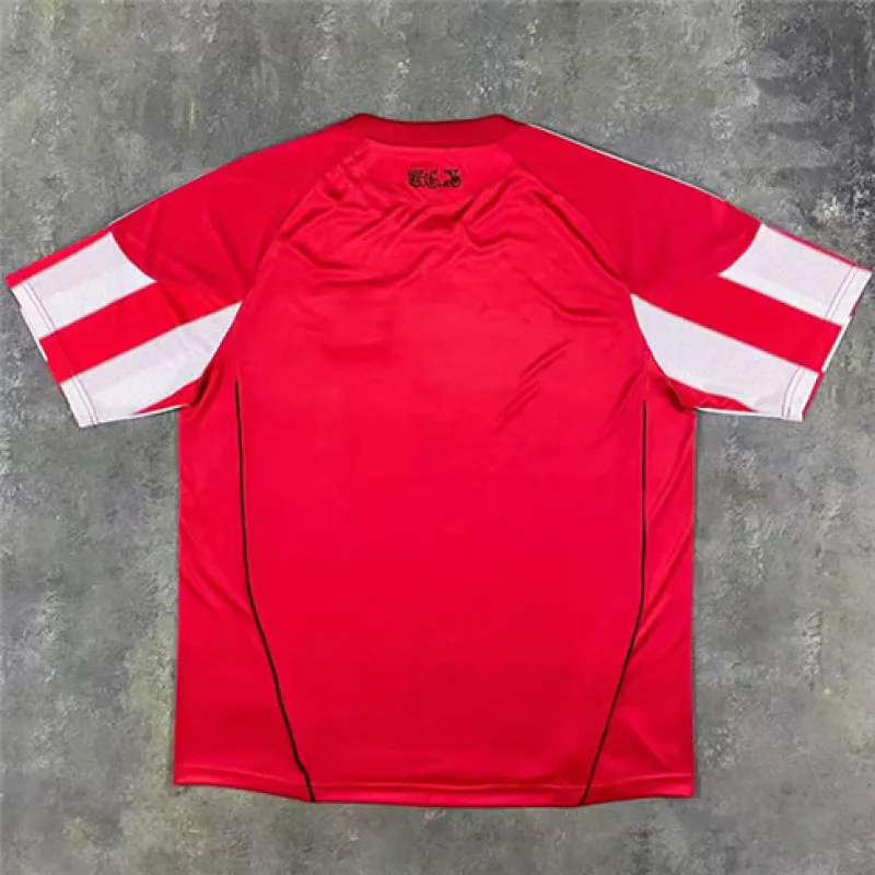 Maglia retro di casa della Bayern Munich 2010 - 2011 - Rosso e Bianco