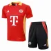 Jeu de SURVETEMENT POLO du FC Bayern Munich 2024/25 - Rouge vif