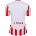 Maillot Carnaval Cologne 2024/25 - Fan