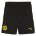 Kit Casa Junior Borussia Dortmund 2024/25 con Hummels - Versione Tifoso (Giallo)