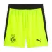 Dortmund JOBE 2025/26 Conjunto infantil visitante - Gris/Verde