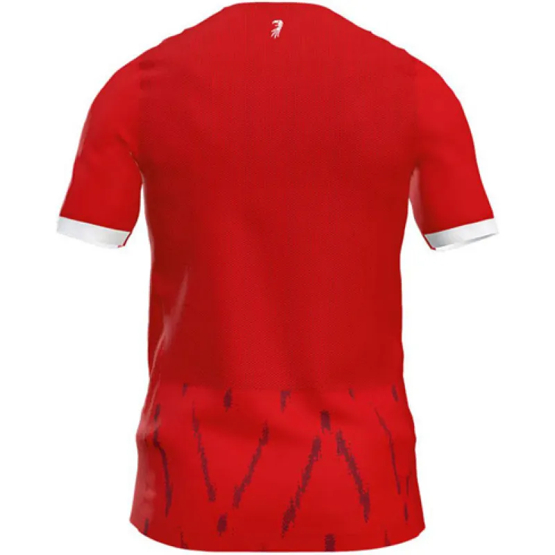 Camiseta SC Freiburg Local 2024/25 FAN