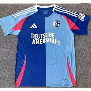 Schalke 04 Special Edition Shirt 2024/25 - Fan