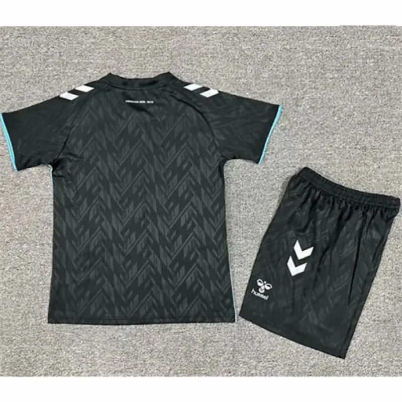 Werder Bremen 2024/25 Maillot Tertiaire Enfant Réplique - Noir