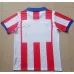 Maglia retrò di Atletico Madrid 2014 in casa - Rosso/Bianco