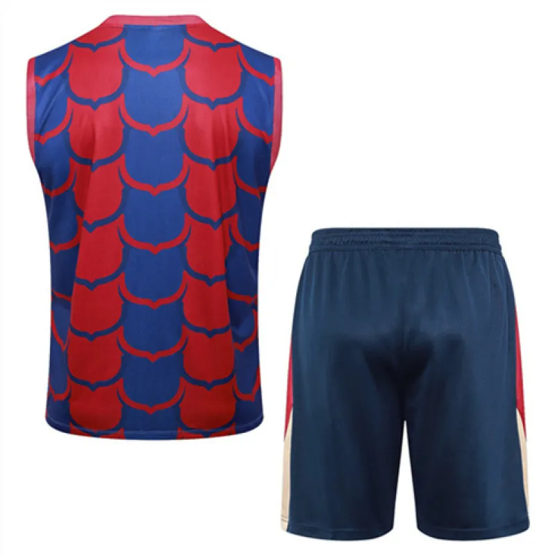 Set di shorts e gilet del FC Barcelona 2024/25 - Rosso/Blu