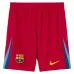 Barcelona PEDRI 2025/26 Cuarto Conjunto Infantil Camiseta - Azul/Rojo