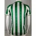 Camiseta retro de Real Betis 1995/96 local - Verde/Blanco