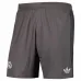 Terzo shorts del Real Madrid 2024/25 - Grigio