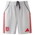 Lyon 2025/26 Pantalones Cortos Third - Gris