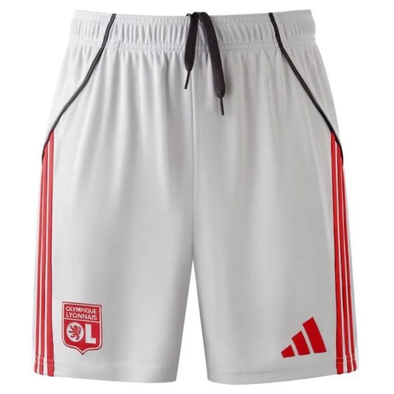 Lyon 2025/26 Pantalones Cortos Third - Gris