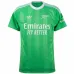 Arsenal Raya 2025/26 Drittes Torwarttrikot Grün