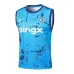 Chelsea 2024/25 Weste + Shorts - Himmelblau