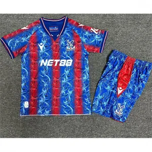Maillot d'enfant domicile de Crystal Palace 2024/25 - Rouge et bleu