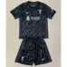 Liverpool 2024/25 Children's Goalkeeper Jersey - Gray-Black