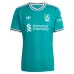 Liverpool VIRGIL 2025/26 Dritttrikot - Grün