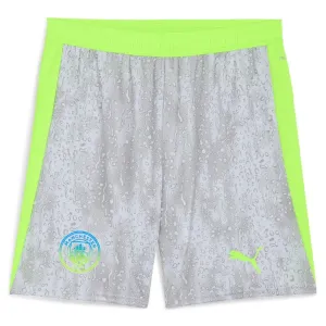 Manchester City 2025/26 Dritte Shorts - Grau