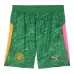 Manchester City 2025/26 Kinder Torwarttrikot + Shorts - Grün