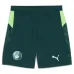 Manchester City 2025/26 Cuarto conjunto infantil - Verde