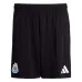 Newcastle United 2024/25 Heimshorts - Schwarz