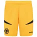 Wolverhampton Wanderers 2024/25 Heimshorts - Gold