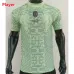 Camiseta 2024/25 del AC Milan - Jugador - Verde
