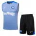 Pantalones cortos y chaleco del conjunto de entrenamiento del Inter Milan 2024/25 - gris