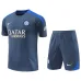 Chemise d'entraînement + short de l'Inter Milan 2024/25 - en gros - gris