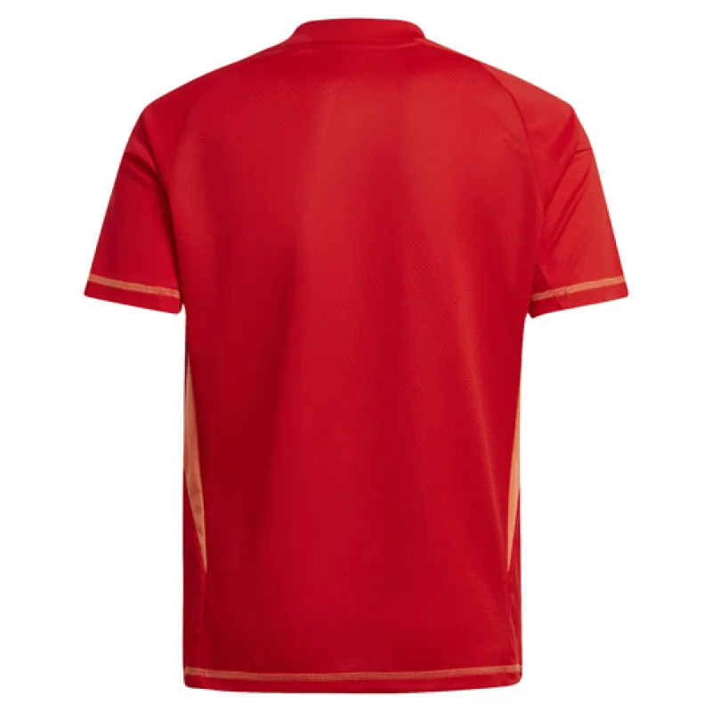 Camiseta del portero de Juventus 2024/25 - Roja