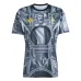 Juventus 2025/26 Camiseta Pre-Partido Del Piero - Gris
