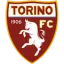 Torino category logo image