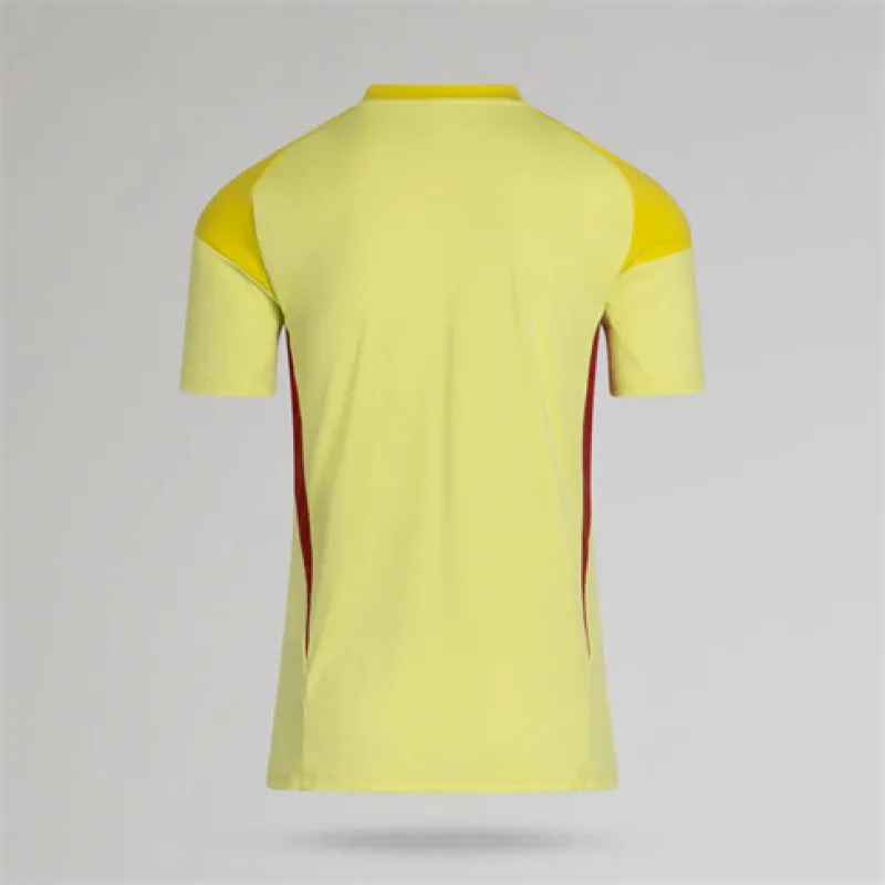 Celtic 2025/26 Third Jersey