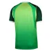 Nigeria 2026/27 Home Player Jersey