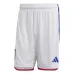 Japan Nationalmannschaft 2022/23 Auswärtstrickot Replica Mädchen - Weiß