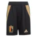 Pantalones cortos locales de Bélgica 2024/25 - Negro