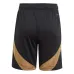 Pantalones cortos locales de Bélgica 2024/25 - Negro