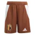 Pantalones cortos visitantes de Bélgica 2024/25 - Marrón