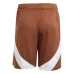 Pantalones cortos visitantes de Bélgica 2024/25 - Marrón