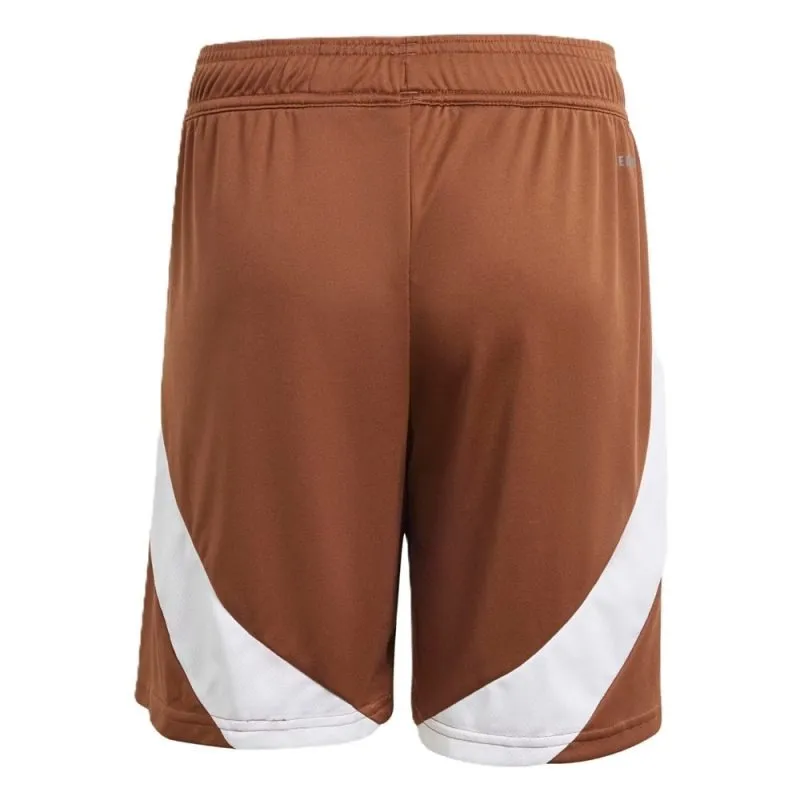 Pantalones cortos visitantes de Bélgica 2024/25 - Marrón