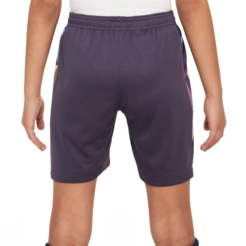 Los pantalones cortos de visita de Inglaterra 2024/25 - Morado
