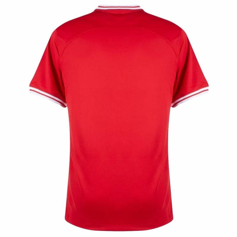 La camiseta visitante de Polonia para la Copa Mundial 2022 - Roja