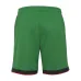 Los pantalones cortos de local de Portugal 2024/25 - Verde