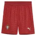 Portugal 2026/27 Heimshorts - Grün