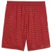 Portugal 2026/27 Heimshorts - Grün