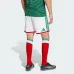 Mexico E. ALVAREZ 2026/27 Home Kids Kit Green