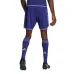 Argentina 2022 World Cup Away Shorts - Fan Version (Blue)