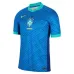 Brazil 2024/25 Away Jersey - Fan Version (Blue)